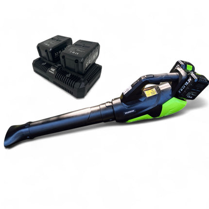 WALDMANN Laubbläser Elektro mit Batterie