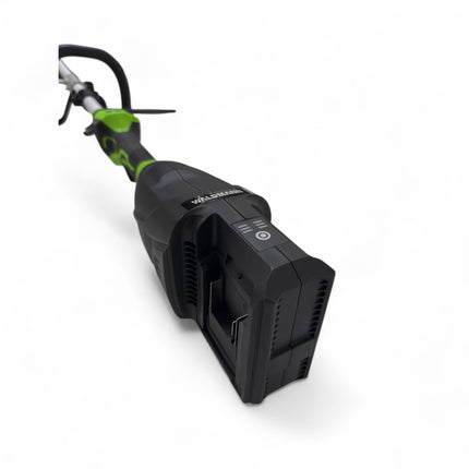 WALDMANN 4 in 1 Gartengerät Elektro ohne Batterie