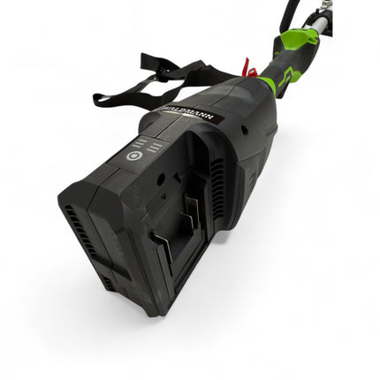 WALDMANN 4 in 1 Gartengerät Elektro ohne Batterie