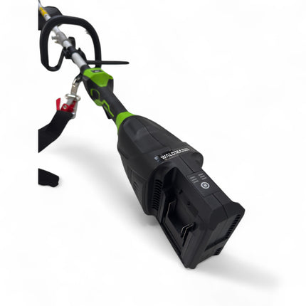 WALDMANN 4 in 1 Gartengerät Elektro ohne Batterie