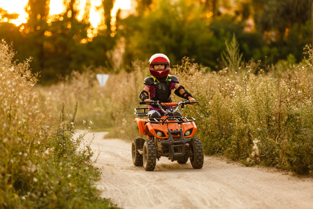 <h3>Mini ATV</h3>