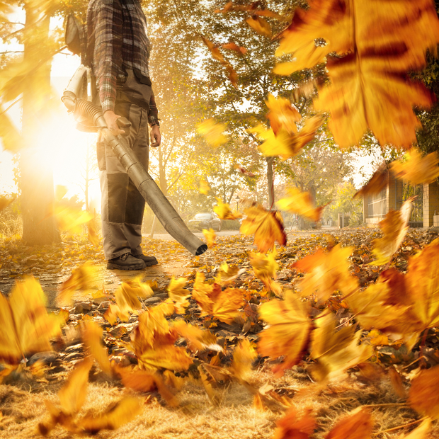 Banner image for: <h2>LAUBBLÄSER</h2>