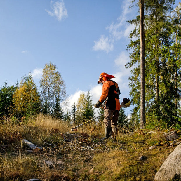 Banner image for: <h2><strong>FREISCHNEIDER</strong></h2>